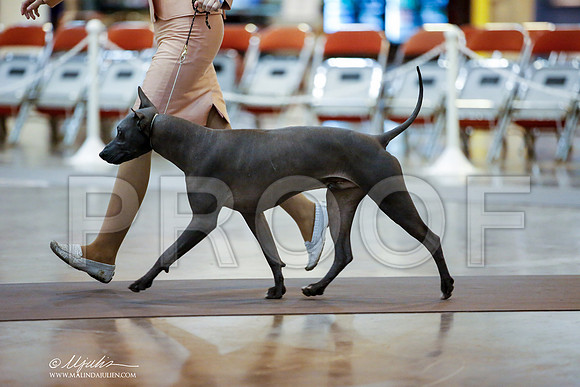 _JJ_1318-HstnJul2014-HR3