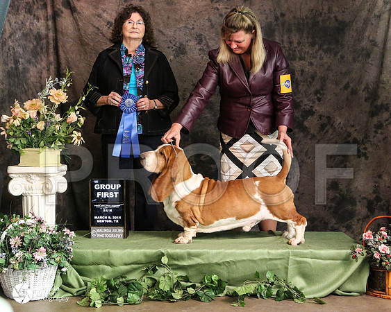basset-3562-DntnMar14-HR3