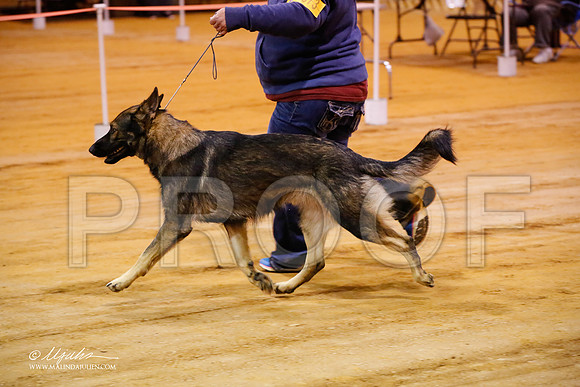 GSD-1025-MrshllDec13-HR