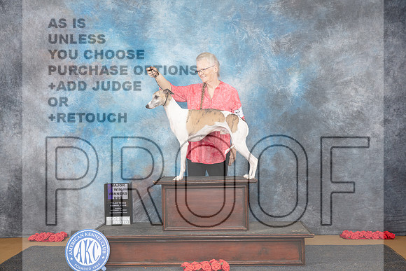 Whippet #11 SUN WD M Judge Richard Nance__JP_0796_Sulphur Springs_2024_HR3