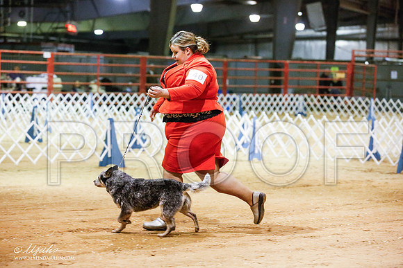 _JN_4994-2-GlenRoseJan2015-HR3
