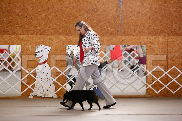 _RH_6838-CarlrolltonSept2014-HR3