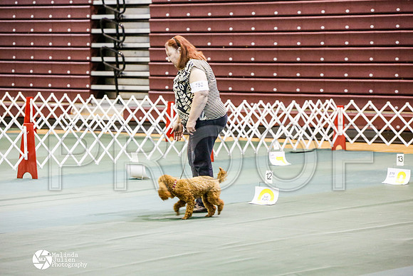 _JJ_2875-BsrCtyJun2014-HR3