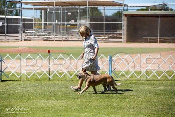 _JN_8917-AlamogordoOct2014-HR3