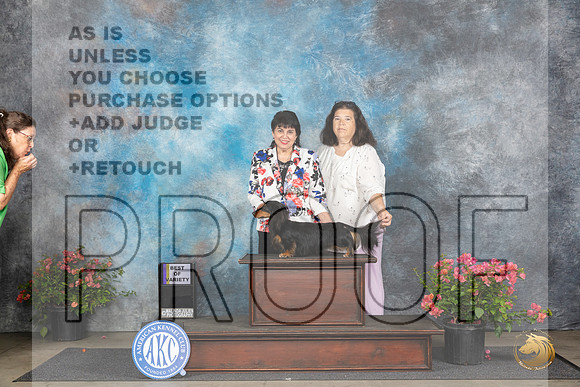 Dachshund Longcoat #9 BOV Judge see note__JP_3972_San Antonio_2024_HR3