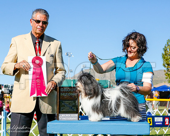 _ST_3312-2-AlamogordoOct2014-HR3