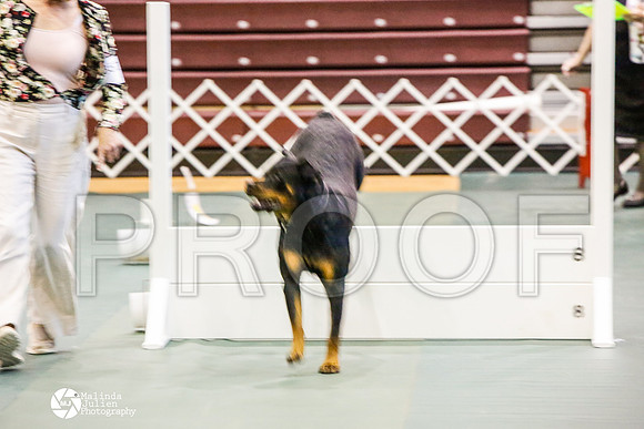_JJ_2513-BsrCtyJun2014-HR3