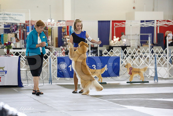 _RH_7251-DallasJul2014-HR3