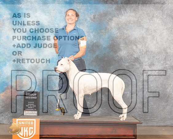 Dogo Argentino #311 G2 Sun1 Judge Kevin Izard-CarrollMMJ_5952_Lngvw2022HR3