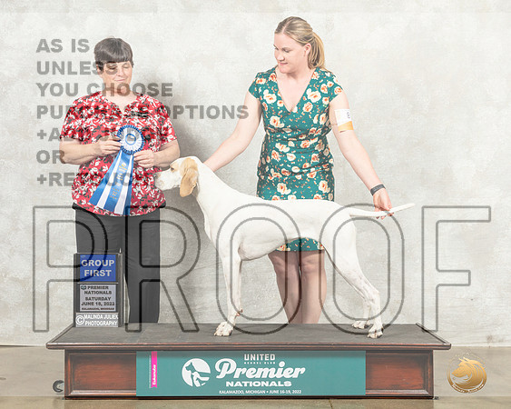 Pointer #816 Sat G1 Judge Linda Reece__MJ_8703_Premier_2022_HR3