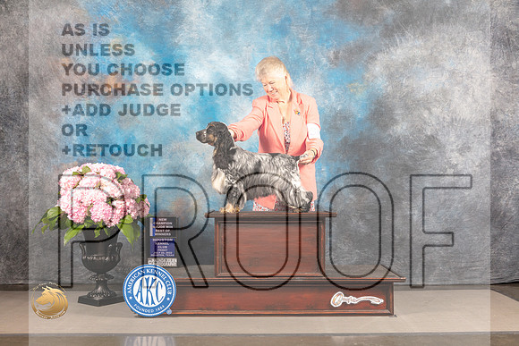 English Cocker Spaniel #36 FRI WB BW NCH Major Judge John Wade_MJ_5014_Houston_2022_HR3