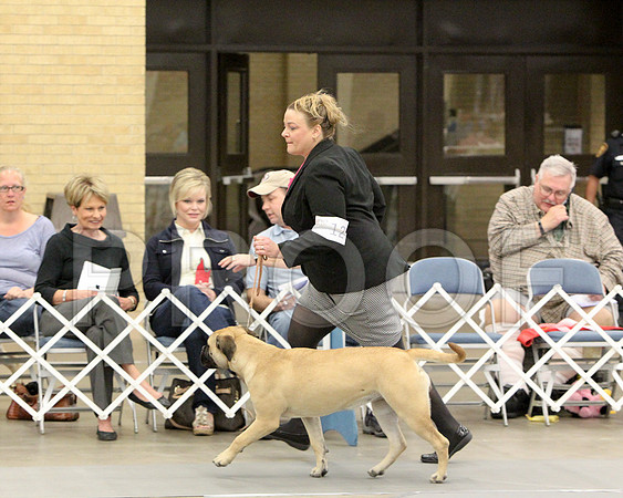 6-9PupSweeps-6838
