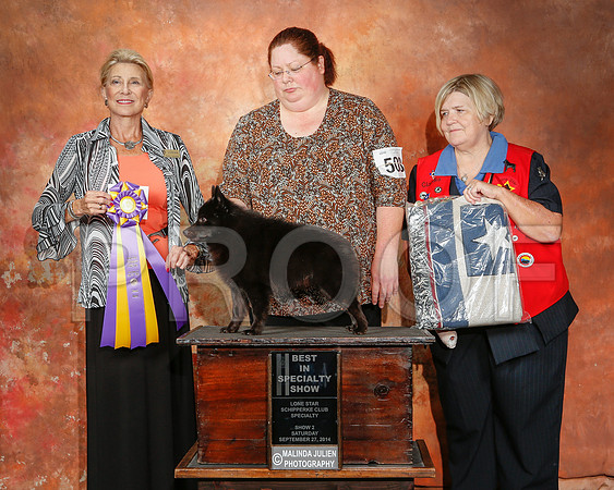 _ST_2515-2-CarlrolltonSept2014-HR3