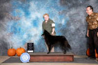 Belgian Sheepdog #6 Sun OHG3 Judge Ray Filburn