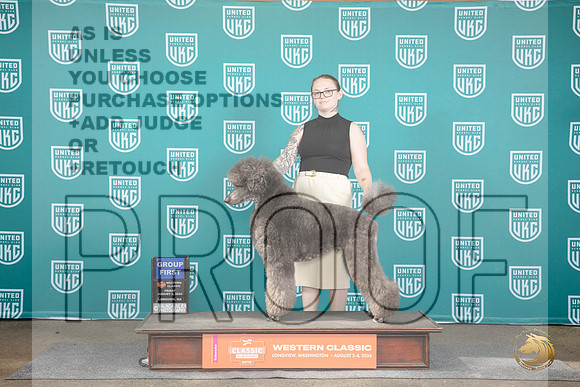 Poodle Standard Multi #112 Fri G1 Judge Matt Proctor__JP_1196_Longview WA_2024_HR3
