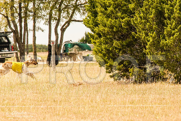 _MJ_5326-AfgBeltonOct2014-HR3