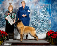 Belgian Tervuren #6 Sat G4 Judy M Hawes J and Melinda Andric Judge Linda L Robey