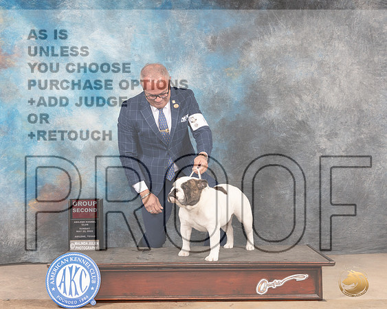 Bulldog #6 Sun G2 Judge Gloria Kerr-MMJ_5128-Abilene2022-HR3
