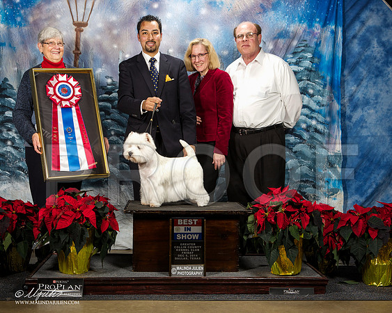 _ST_8396-DallasDec2014-HR3