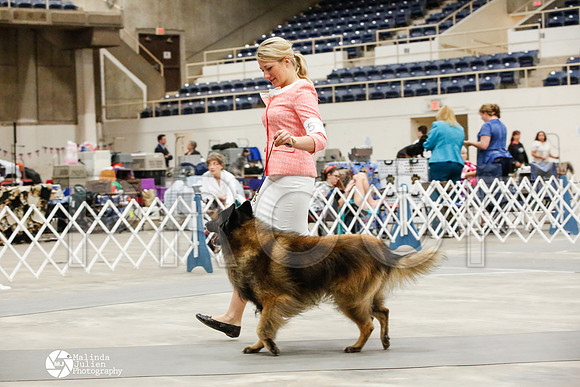 _JJ_9567-AblnMay2014-web