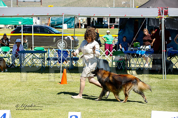 _JN_1031-AlamogordoOct2014-HR3