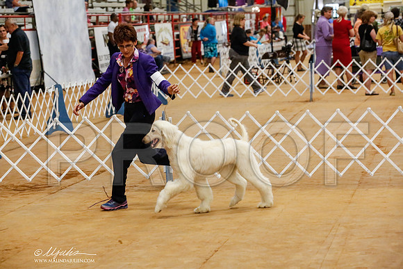 _HR_7743-TxArJun2014-HR3
