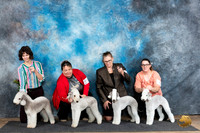 Bedlington Terrier Family Photo Sun