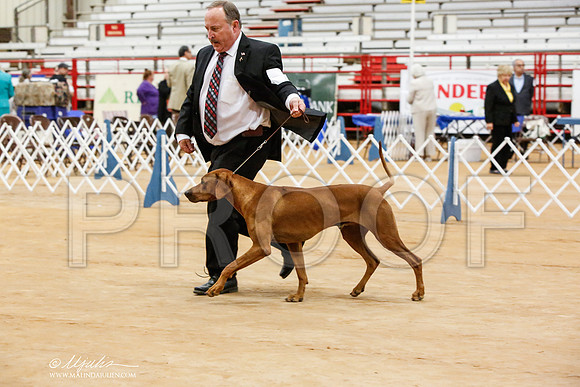 _JN_6399-TxArJun2014-HR3