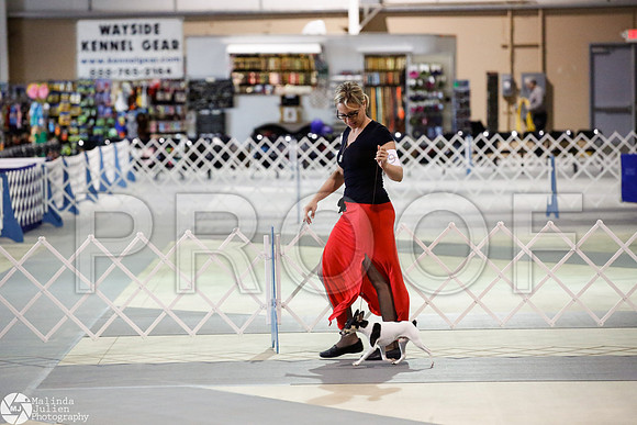 _JJ_2286-SanAntonioJul2014-HR