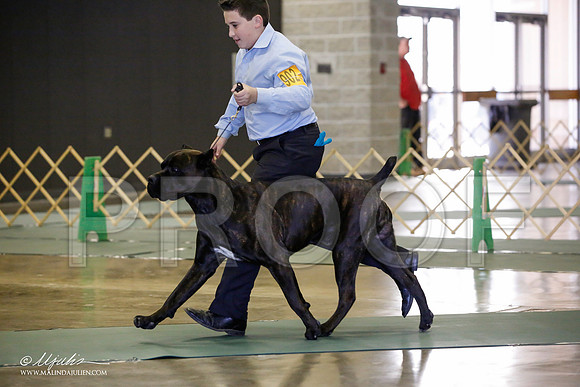 _JN_1368-BeltonJan2015-HR3