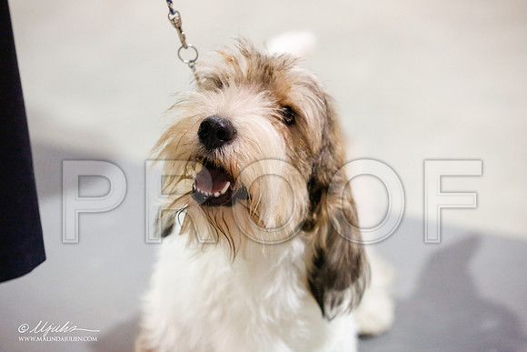 _JJ_6002-SAJul14-HR3