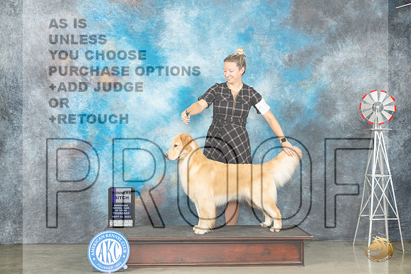 Golden Retriever #10 Thur WB Judge Dr Steve Keating_JP_3307_Amarillo2023_HR3