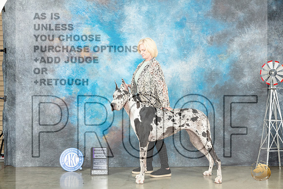Great Dane #14 Thur RWD Judge Randy Garren_JP_3292_Amarillo2023_HR3