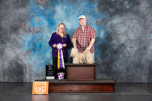 Lhasa Apso #144 Sun BIS Judge Terri Reins__JP_1589_UKCLNGVIEWOCT2024_2024_HR3