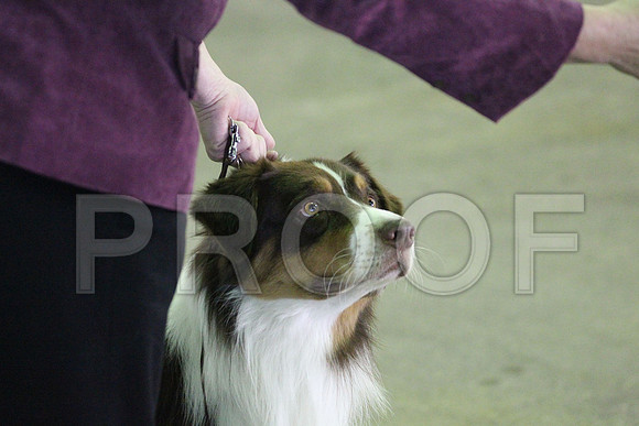 MJS_0339
