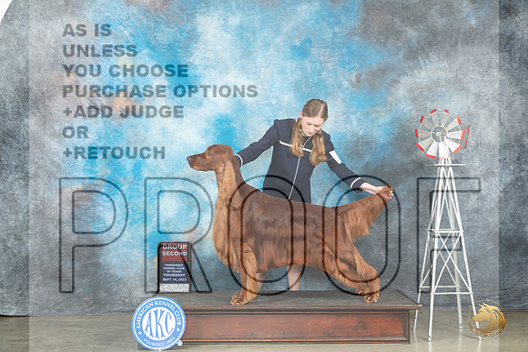 Irish Setter #5 Thur G2 Judge Dr Steve Keating_JP_3426_Amarillo2023_HR3