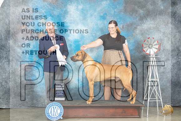 Rhodeisan Ridgeback #5 Thur G4 Judge Dr Steve Keating_JP_3445_Amarillo2023_HR3