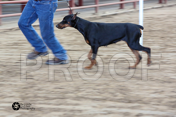 MJ2_0955-WacoFeb14-HR