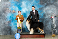 Collie Rough #7 Thur G3 Judge Sandy Walker
