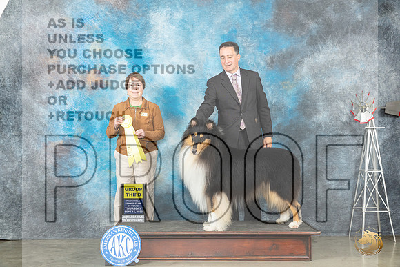 Collie Rough #7 Thur G3 Judge Sandy Walker_JP_3590_Amarillo2023_HR3