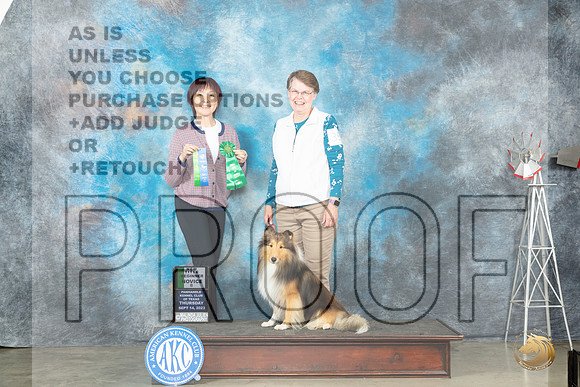 Shetland Sheepdog #35 Thur NTBNB Judge Sheila Rowlette_JP_3549_Amarillo2023_HR3