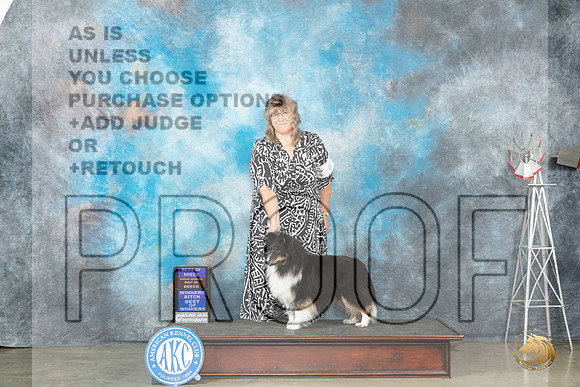 Shetland Sheepdog #6 Thur BOBWBBOWOHBOB Judge Sandra walker_JP_3490_Amarillo2023_HR3