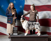 Australian Shepherd #27 Fri OH SB Cloud Kristen Christie Cotton Judge Denise Dean
