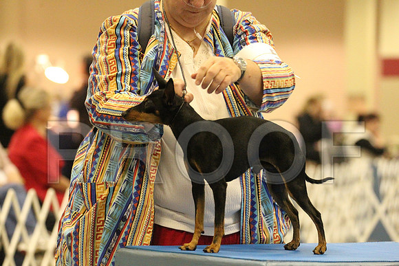 MJS_2675