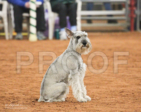 Fn20_1556