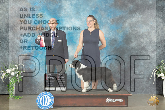 Border Collie #18 Sat BOSOHBOBGCH Judge Ken Buxton_JP_1180e_Lubbock2023_HR3