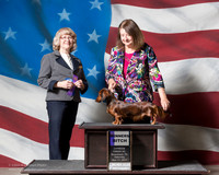 Dachshund Longhaired #10 Sat WB Galvan Mary Janice Finney Judge Carole Beyerle