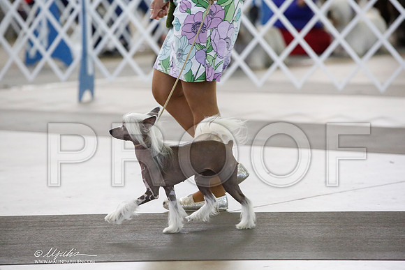 _CK_2675-DallasJul2014-HR3