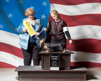 Dachshund #10 Sat G3 KENNEY Rhonda Norman Judge Judy Newtong