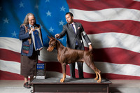 Doberman Pinscher #25 Sat G1 MACKENZIE Tony & Kim Judge Denise Dean